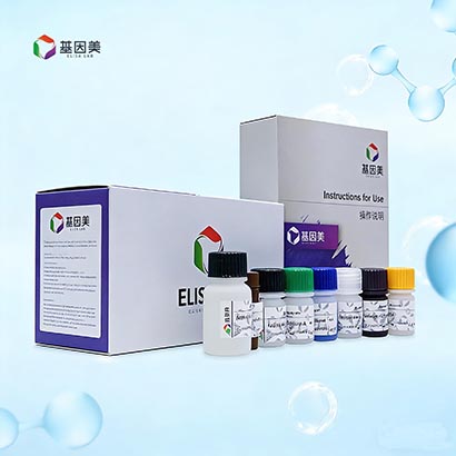 兔载脂蛋白A1(APOA1)检测试剂盒